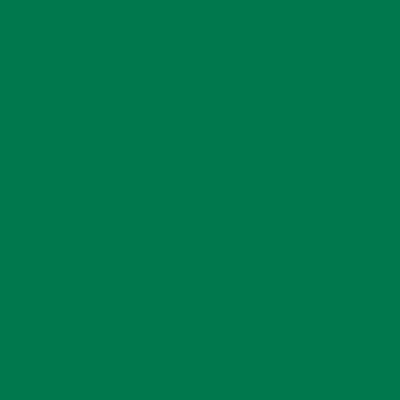 Oracal 641-061 zielony